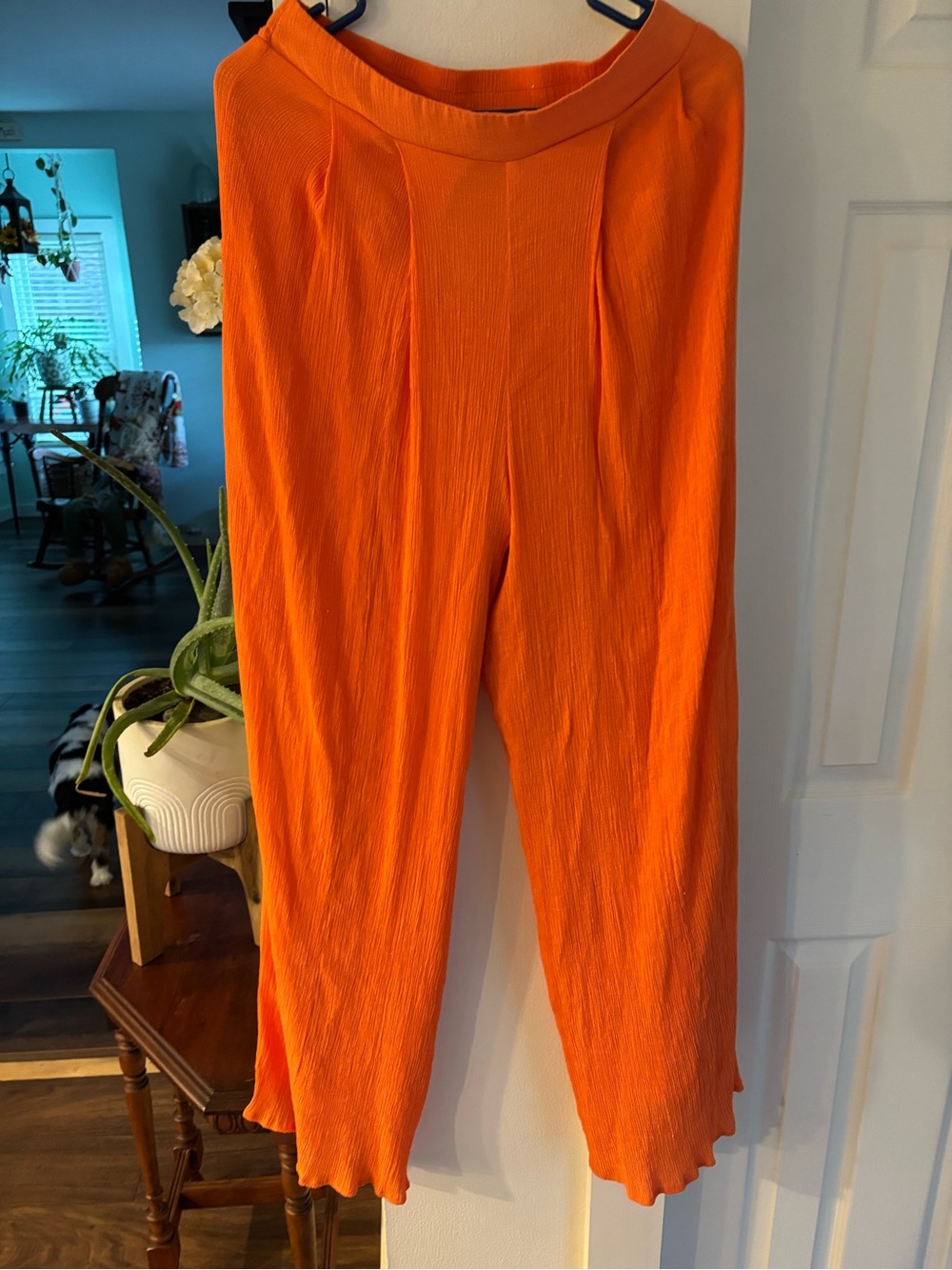 Bright Orange Women’s Pull-On Casual Pants